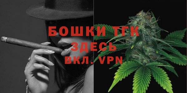 стафф Арсеньев