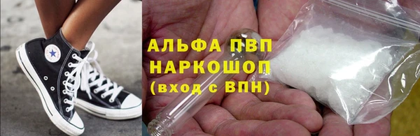 стафф Арсеньев
