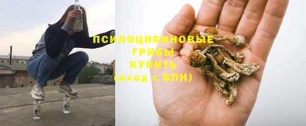 гидра Армянск