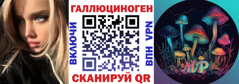 Псилоцибиновые грибы Psilocybe  гидра ТОР  Саров 
