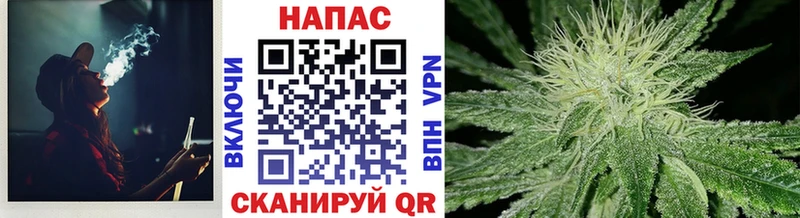 Канабис сатива  ссылка на мегу   Саров 